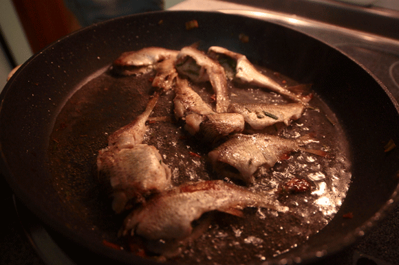 fisch