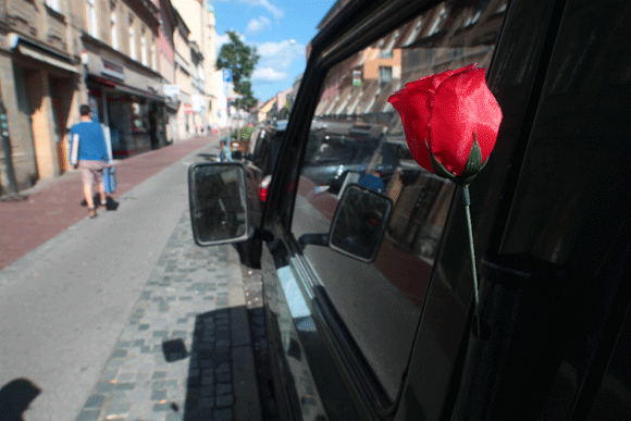 rose